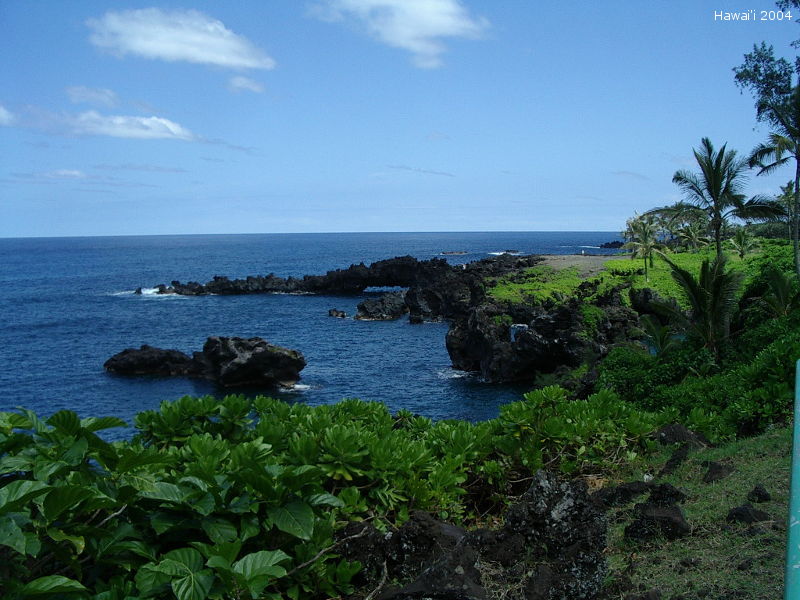 Hawai'i 2004